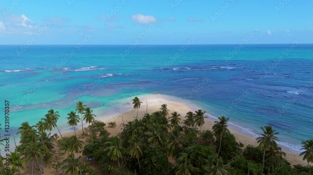 Tropical Beach With White Sand Lined With Palm Trees. - aerial shot Tropical Beach With White Sand Lined With Palm Trees. - aerial shot