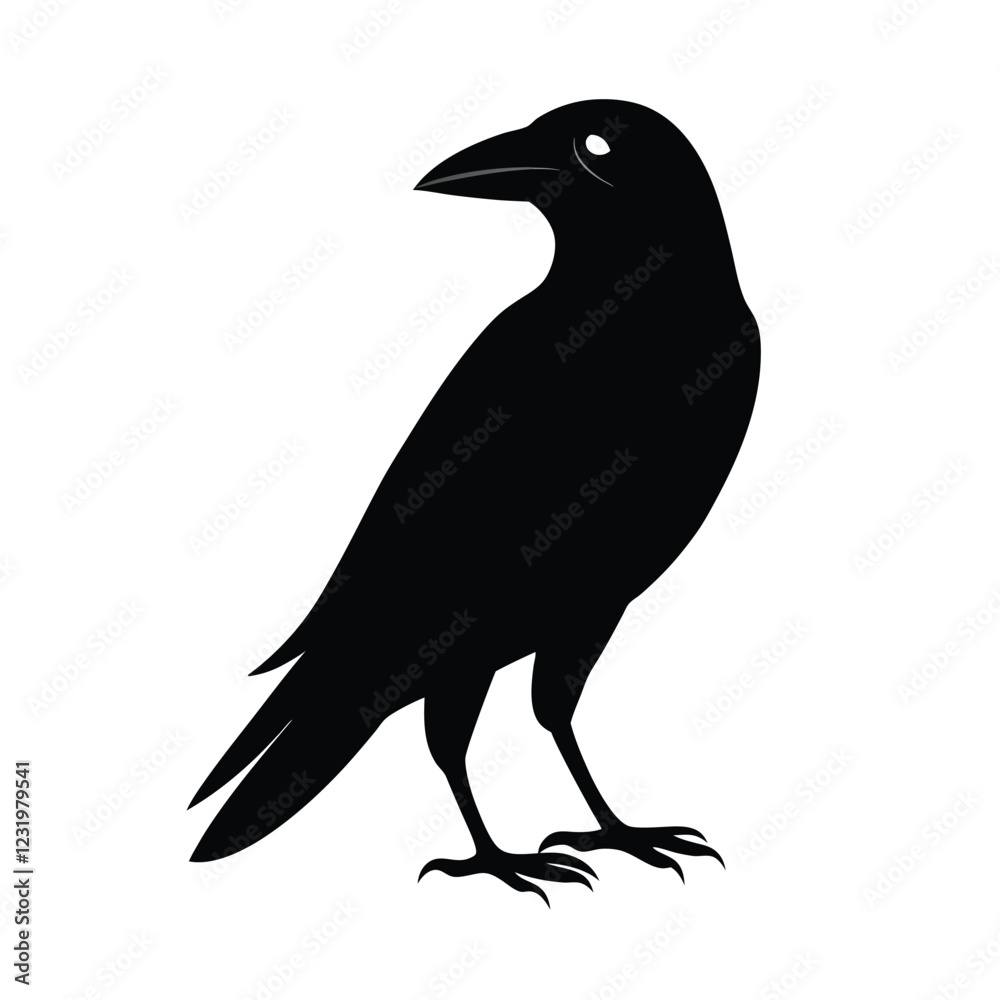 crow on a white background vector illustration crow on a white background vector illustration
