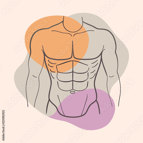  six pack abs vector illustration