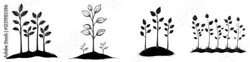 Illustrations depict the progression of plant growth with silhouettes of seedlings at various heights emerging from the soil