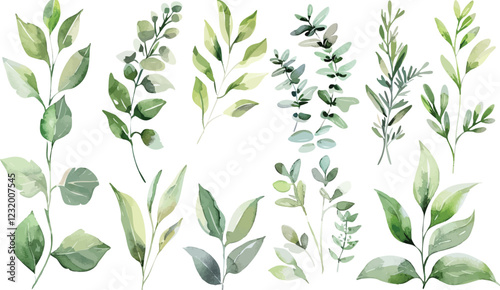 Wallpaper Mural Set of green watercolor leaves on isolated background. Green leaf branches collection. Watercolor floral set. Leaf branches for greetings, fashion, eucalyptus, olive, cloth, print, invitation, card	
 Torontodigital.ca