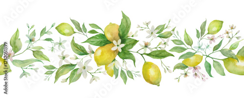 Seamless watercolor border with leaves, flowers, and lemon fruits. Hand-painted illustration. vector EPS.