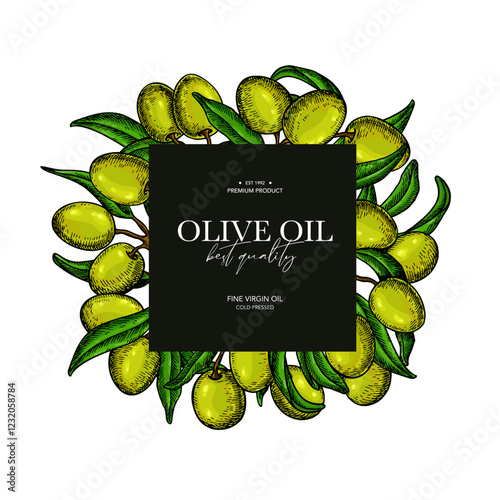 Olive oil design template. Green Olive, leaves and branches vector drawing. Hand drawn label sketch.