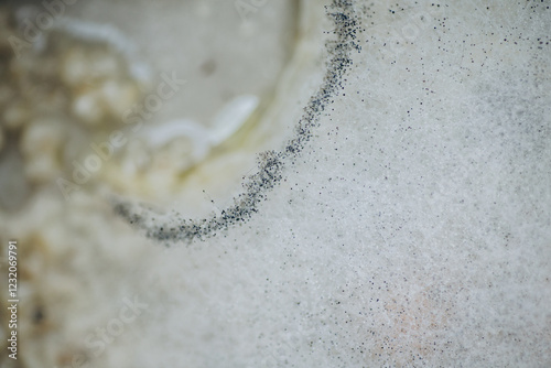 Macro photo of mold. Mold on soup close up. light abstraction