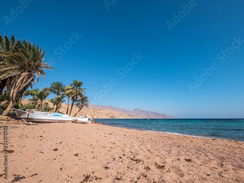 beach with palm trees