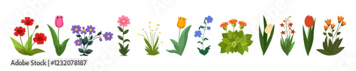 Collection of wild and garden herbs, flowering plants, blooming flowers isolated on transparent background. Poppies, tulips, lilies, chamomile and others.
Cartoon flat vector illustration
