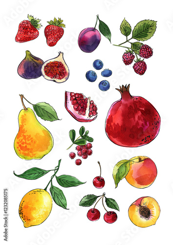 Fruits and berries in watercolor on a white background. Watercolor, ink. Farm products. Healthy eating.
