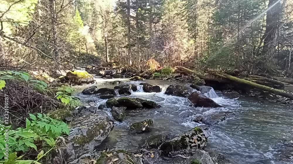 High rocky banks of a mountain river in a coniferous forest early in the autumn morning at dawn. High rocky banks of a mountain river in a coniferous forest early in the autumn morning at dawn.