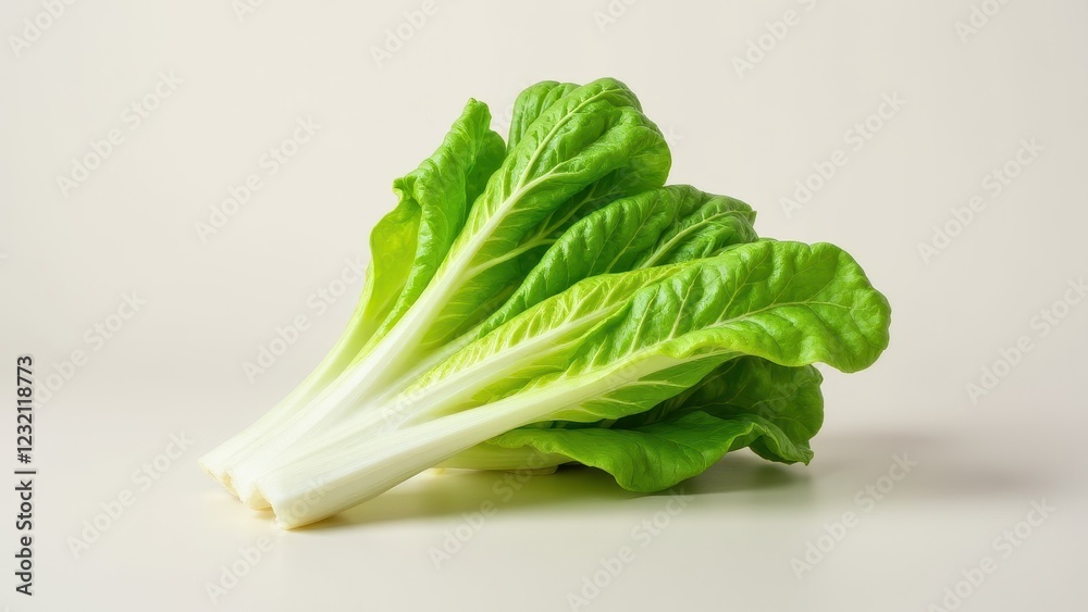 Whole romaine lettuce placed against a clean white background. Whole romaine lettuce placed against a clean white background.