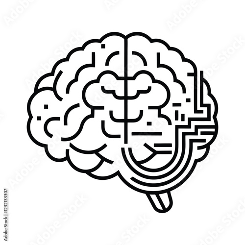 human brain  illustration