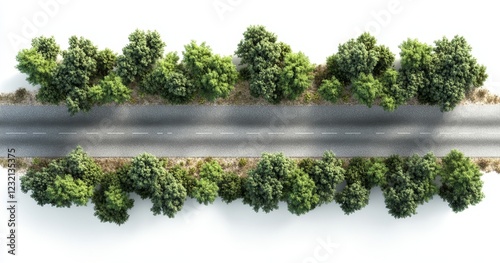 Aerial view of a road lined with lush green trees. (3)