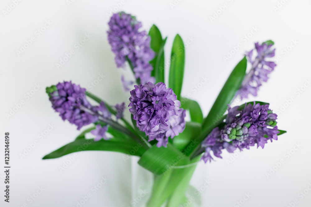 Obraz premium Purple hyacinths on a white background. A bouquet of spring flowers. Romantic floral background. Flat lay, top view.