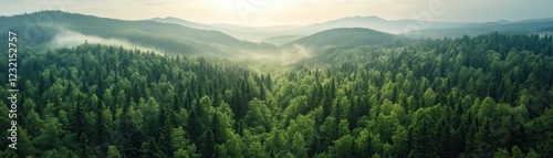 ** Aerial View of Lush Green Forest with Rolling Hills and Misty Horizon Under a Soft Morning Light..**