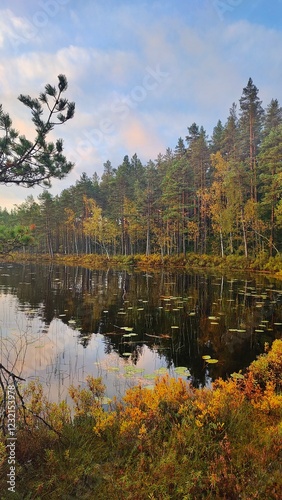Hiking in the old Spruce Forests in Sweden and sleeping in old charcoal huts in 