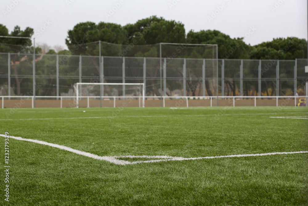 Fototapeta premium Corner of a soccer field where you can see the goal and the white lines of play on the green grass