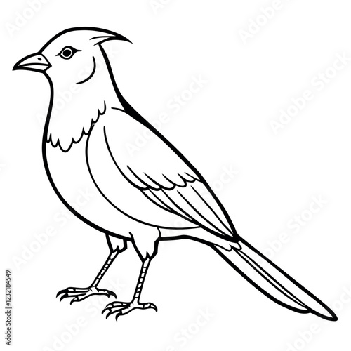 illustration of a bird