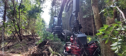 Wallpaper Mural A forest harvesting machine Torontodigital.ca