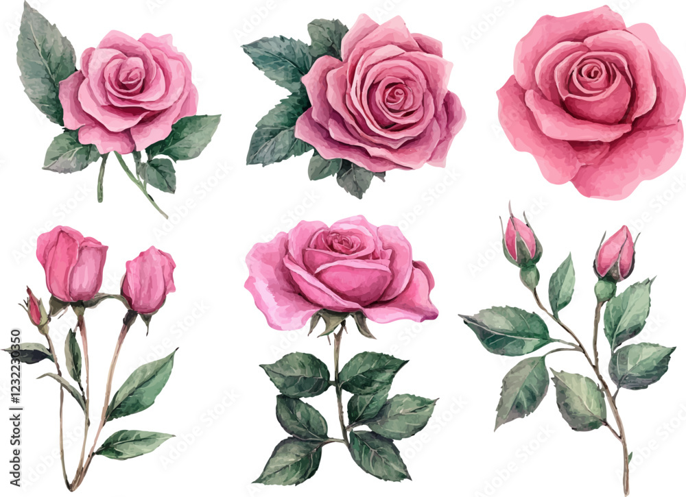 Naklejka premium Hand drawn wtercolor illustration of rose flower 