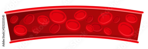 Vector image of artery. Arteries with cholesterol. Medical illustration for studying human and his body. Element for your design.