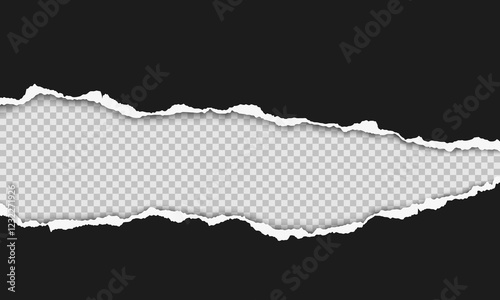 Vector horizontal torn paper edge. Ripped paper strip with soft shadow.