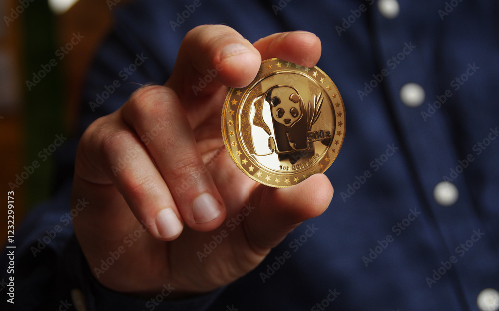 Panda chinese golden coin 3d illustration Panda chinese golden coin 3d illustration