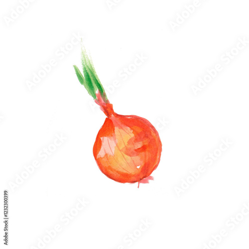 red onion isolated on white