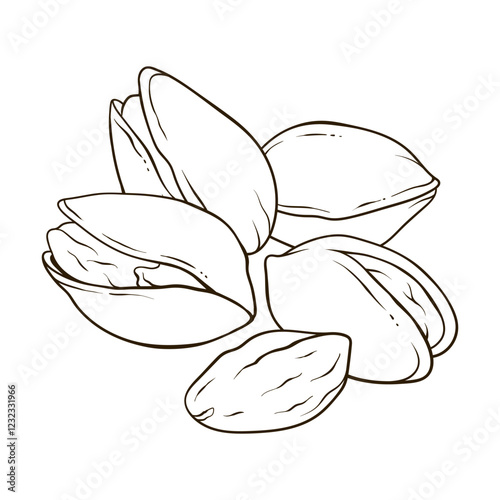 Pistachios nuts in shell and kernels, hand drawn vector food illustration