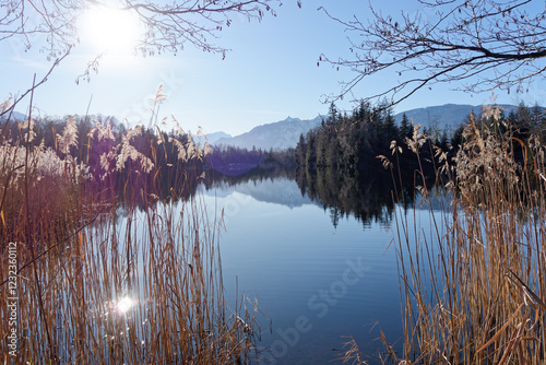 Murnauer Moos in winter, small lake with the Ammergau mountains in the background, Alps, Bavaria, Germany, Europe