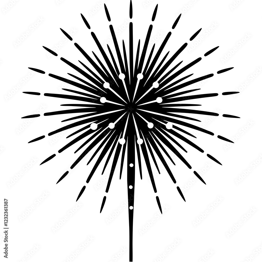 Obraz premium black and white fireworks