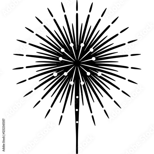 black and white fireworks