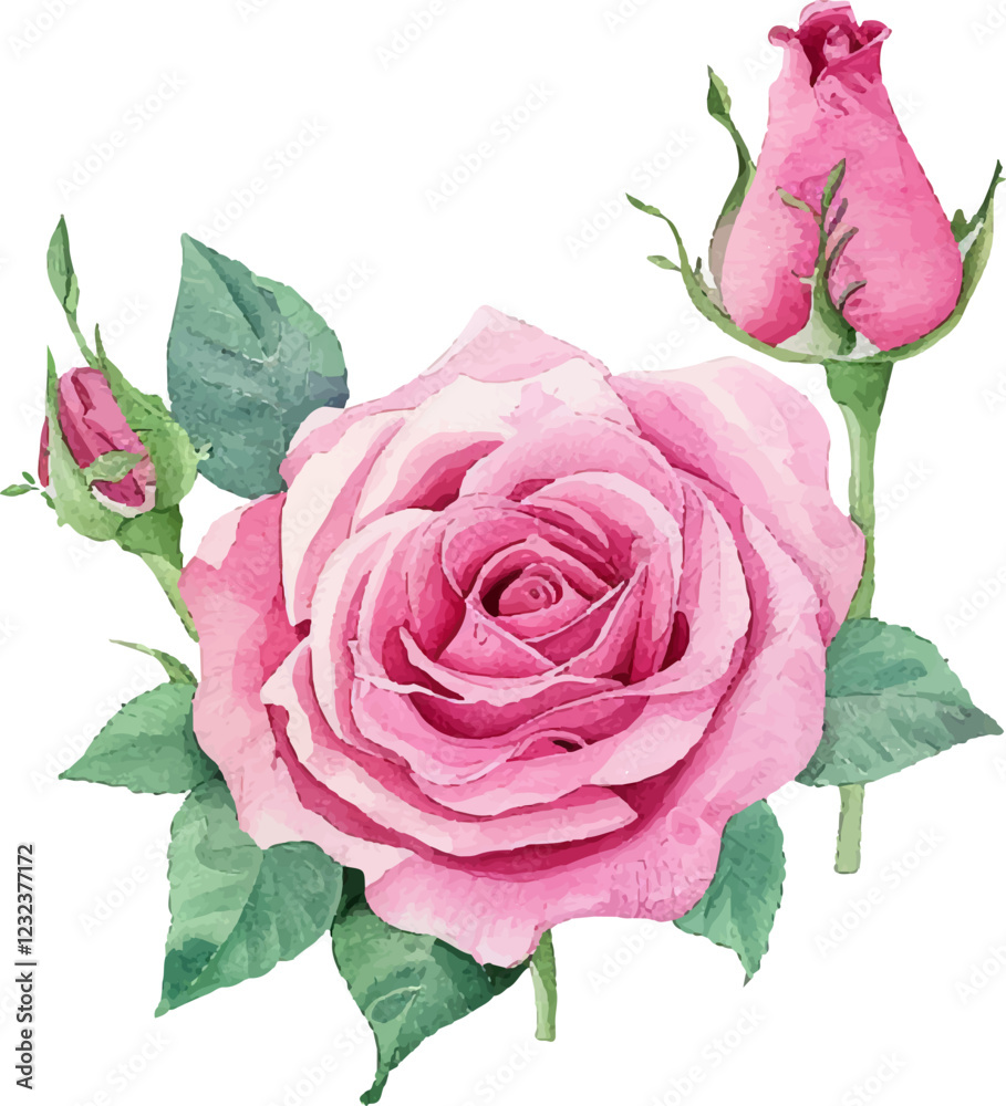 Naklejka premium pink roses on white background