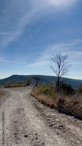 Hiking walk 