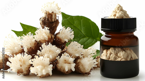 Balanophora Fungus and Powder Extract in a Bottle Creates a Natural Remedy photo