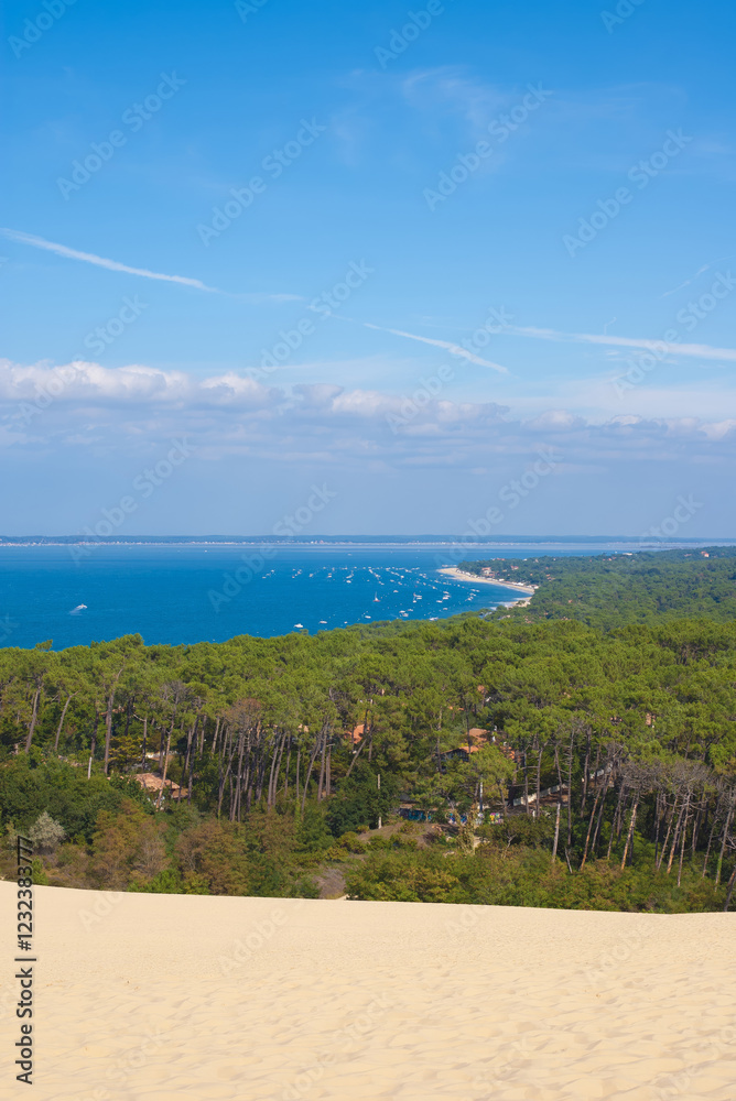 Obraz premium A panoramic view from a sand dune of Pilat shows a green pine forest leading down to a long stretch of blue water. Boats can be seen in the water in the distance, and the sky is clear with few clouds