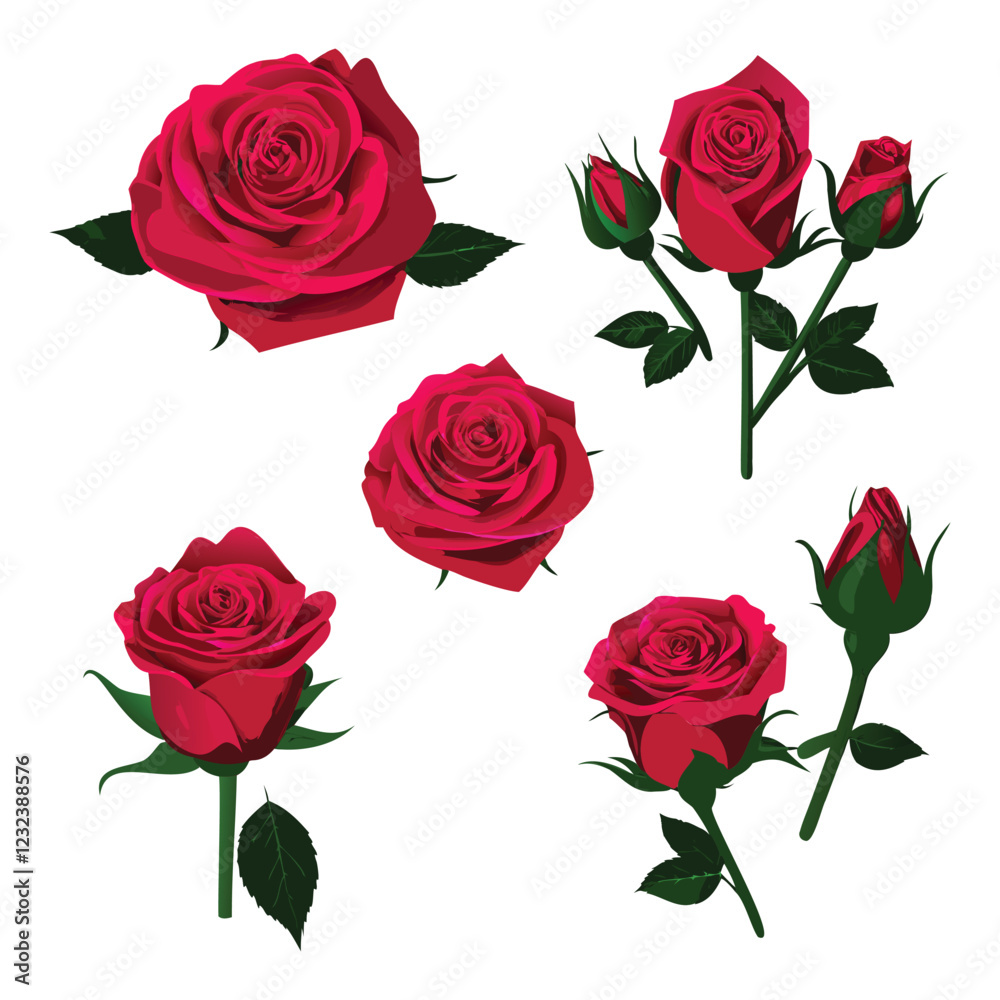 Fototapeta premium Elegant Rose Vector Illustration