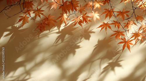 Autumn Leaves Cast Shadows ...