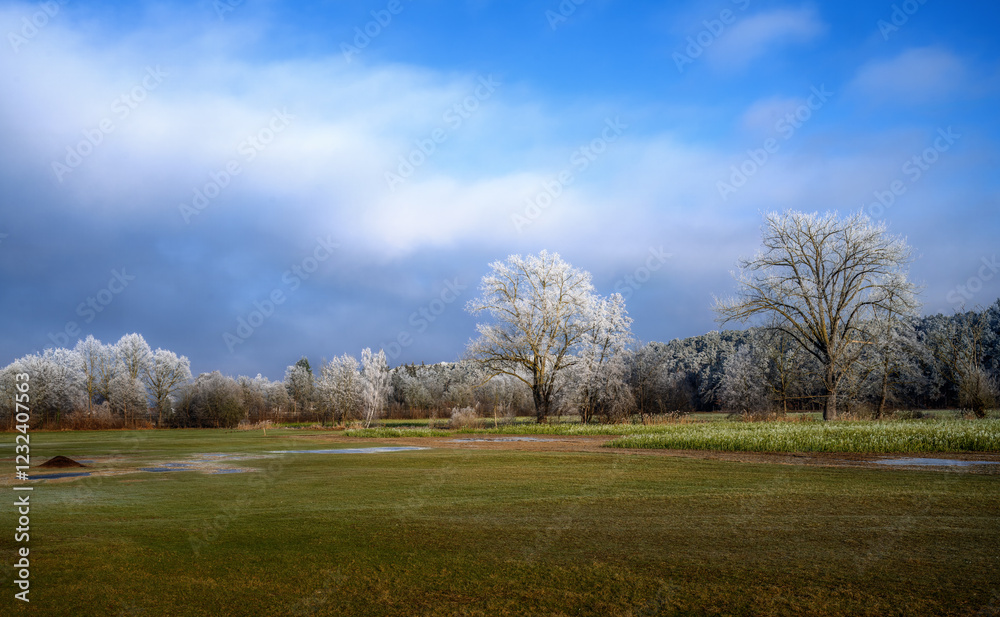 Winter landscape with frost covered trees