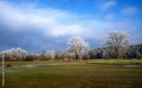 Obraz na płótnie Winter landscape with frost covered trees w salonie