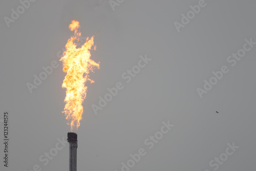 Flame burning from the chimney of a chemical plant during overcast weather