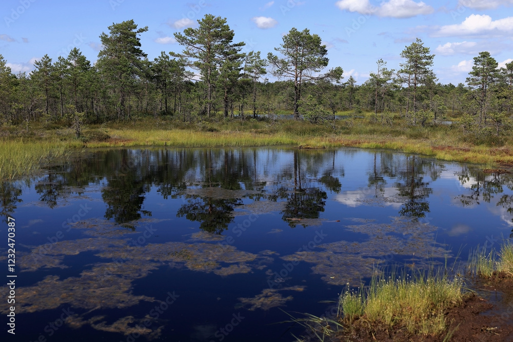 Landscape photo with a view of the mirror surface of a lake and the trees reflected in it, in the Viru bogs in Lahemaa National Park in Estonia Landscape photo with a view of the mirror surface of a lake and the trees reflected in it, in the Viru bogs in Lahemaa National Park in Estonia