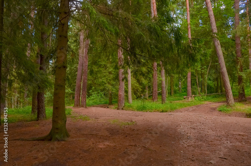 trail in Stepanavan Dendropark (Gyulagarak, Lori province, Armenia) photo