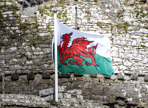 Welsh  flag  dragon stdavids  wales 