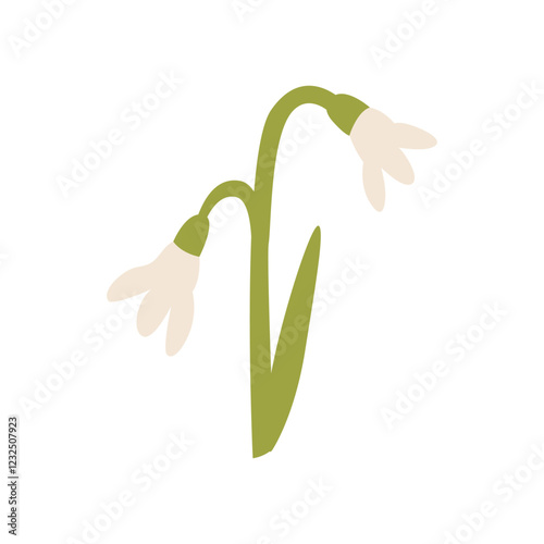 Cute snowdrop flower on isolated background. Vector flat floral illustration in simple naive style. Spring wildflower clipart for holidays, women's day, birthday, mother's day designs, etc.