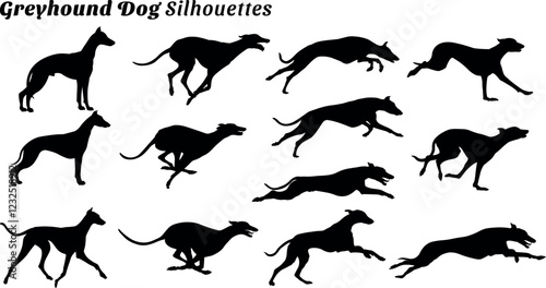 Greyhound dog silhouette vector illustration set