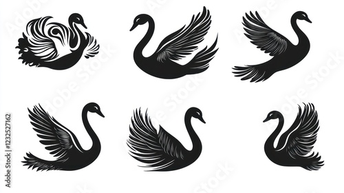 Fototapeta Naklejka Na Ścianę i Meble -  Six stylized black swan silhouettes; elegant designs, graphic art, white background; ideal for logos or prints