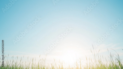 Sunlit Meadow Serenity: A m...