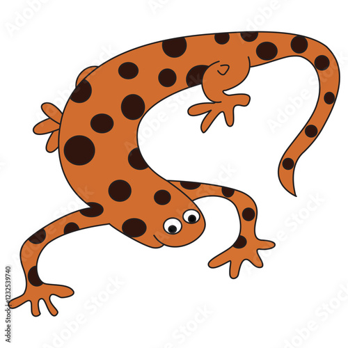 Lizard isolated on white background