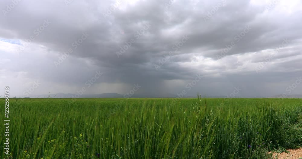 irrigation systems farm energy land wind power solar system irrigation systems farm energy land wind power solar system