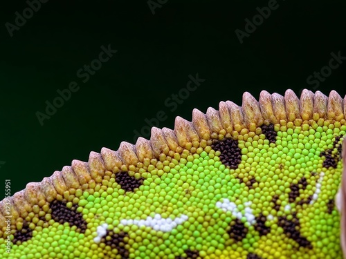 an image of a close up of a lizard's head with a green background. photo