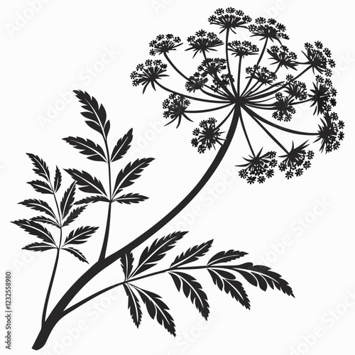 Bai sanicle vector silhouette black design white background